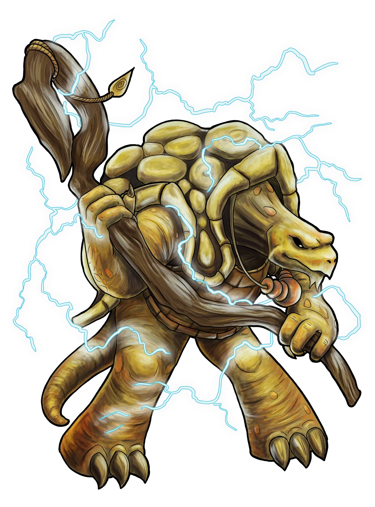 Tortles Of The River Valley
