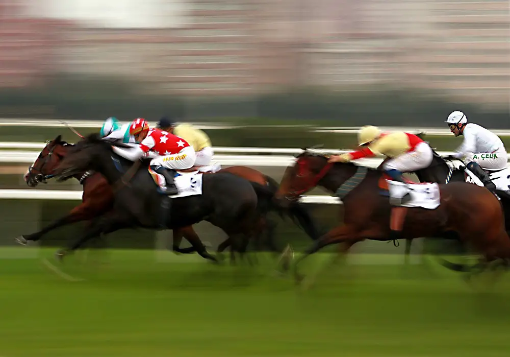 9 Best Free Horse Racing Tips By The Expert Racers To Win A Race