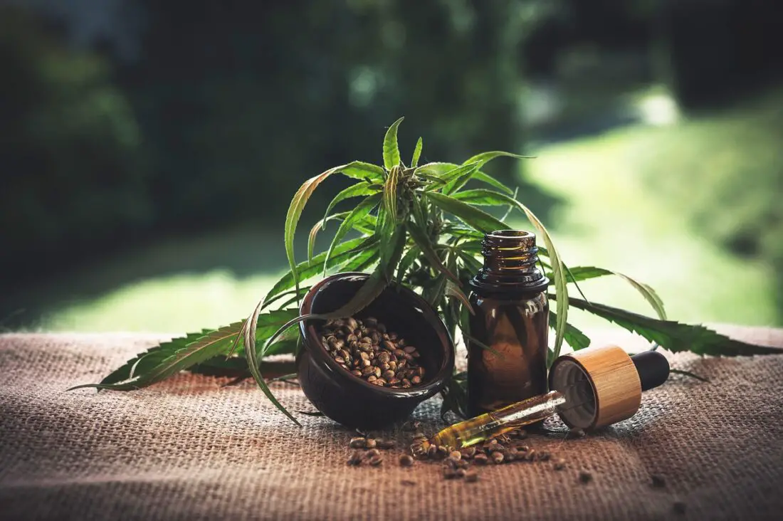 Why Should You Buy Cannabis Oil?
