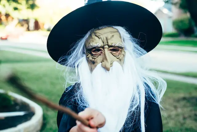 Old Wizard With Wand
