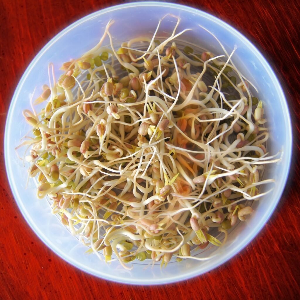 Fresh Bean Sprouts In A Bowl - Worst Restaurant Food Poisoning Outbreaks